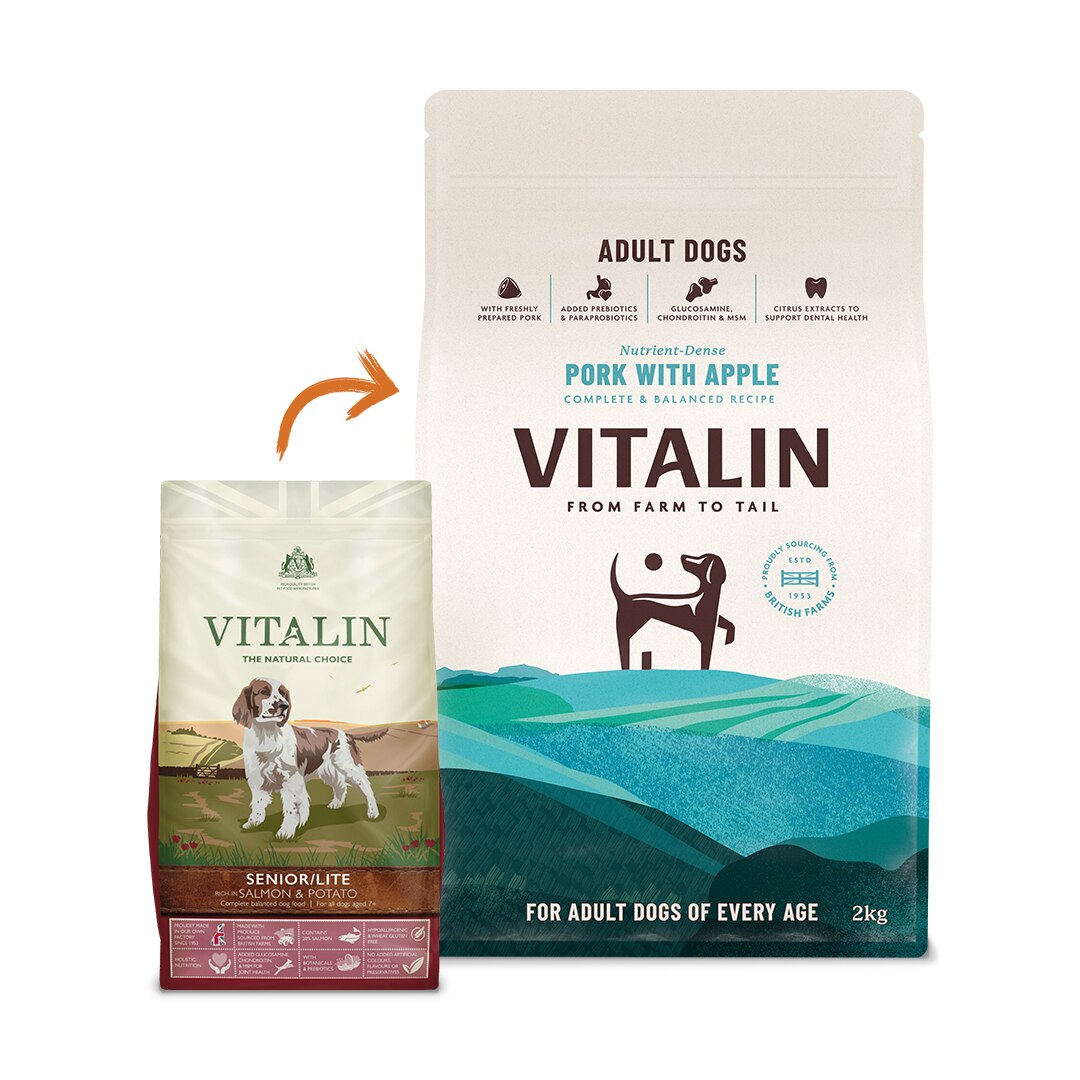 Vitalin dog hotsell food 12kg